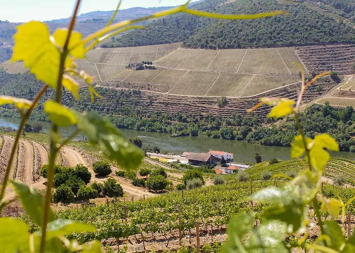 Casa Do Tua Hotell Foz Tua